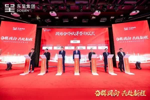 B体育